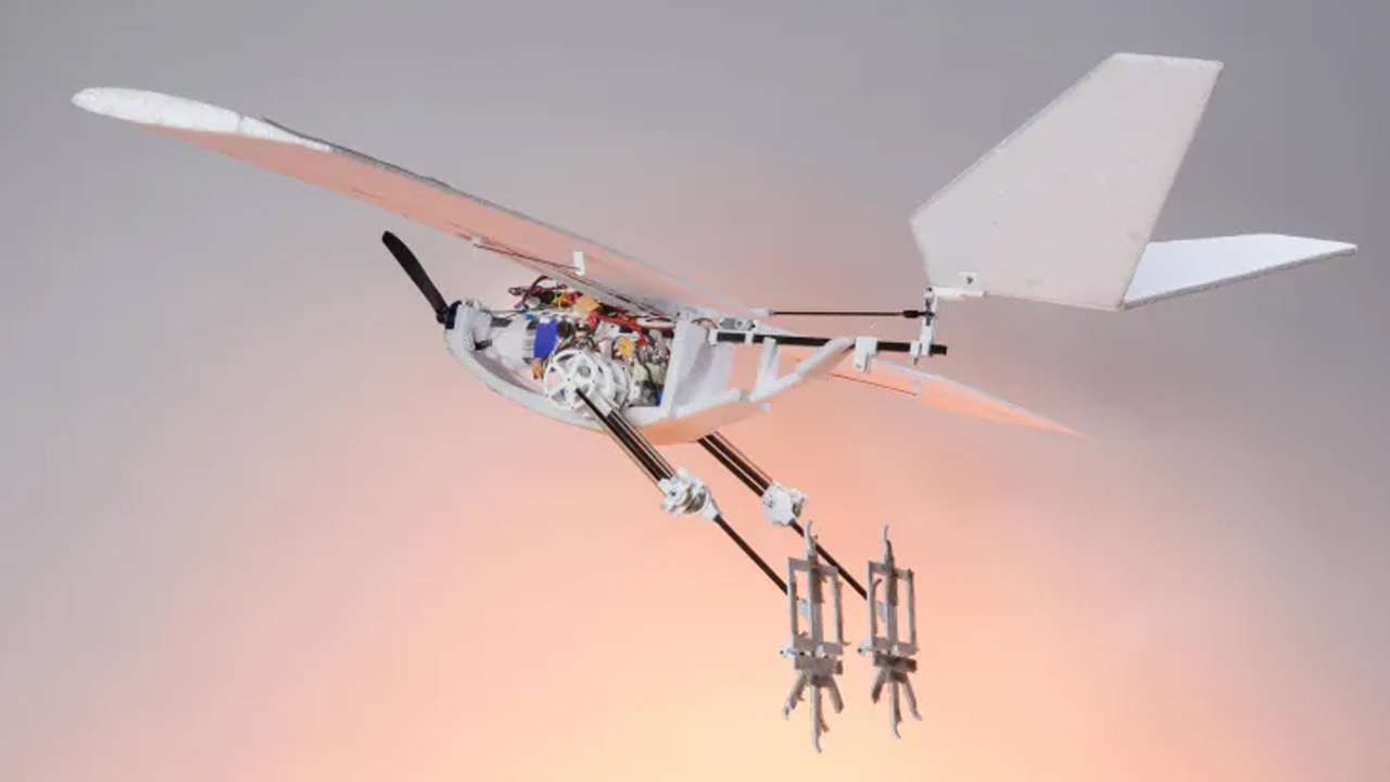 This Plane Can Land Like a Bird—and It’s Changing Everything