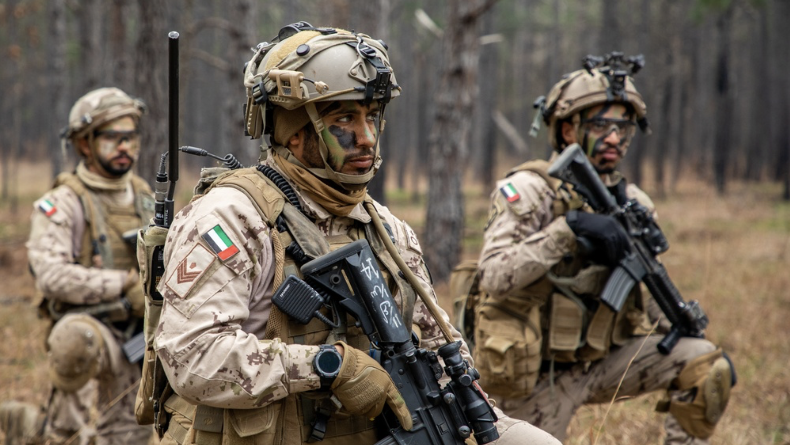 United Arab Emirates to Withdraw All Remaining Troops From Yemen, Defence Ministry Says