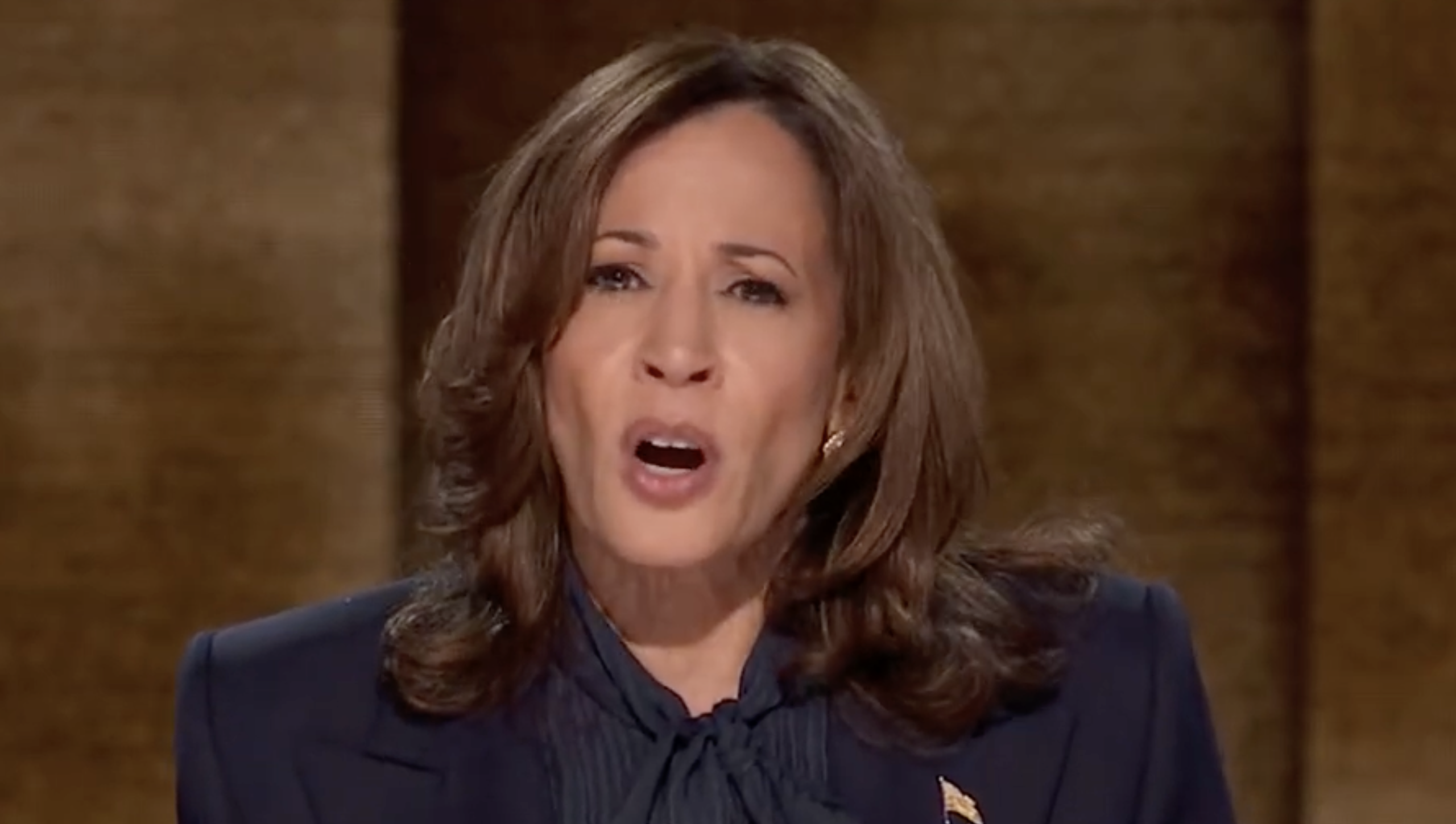 Resurfaced Kamala Harris Speech Warned US of Trump’s “Explicit Intent to Jail Journalists, Political Opponents, and Anyone He Sees as the Enemy” — Sparking Renewed Debate Amid Don Lemon Arrest