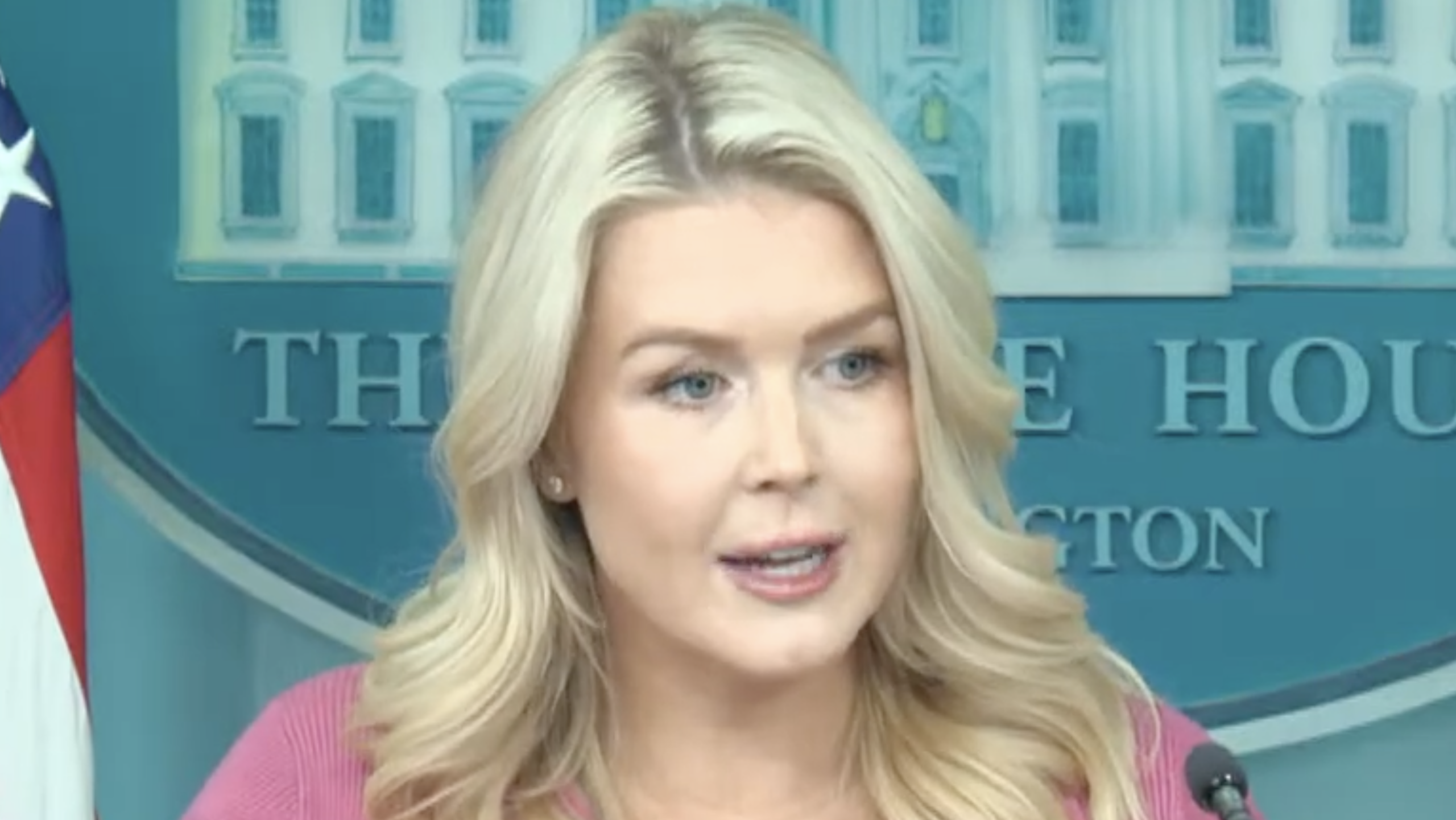 “I Can’t Guarantee That an ICE Agent Won’t Be Around a Polling Location in November,” — Karoline Leavitt Insists — “That’s a Disingenuous Question”