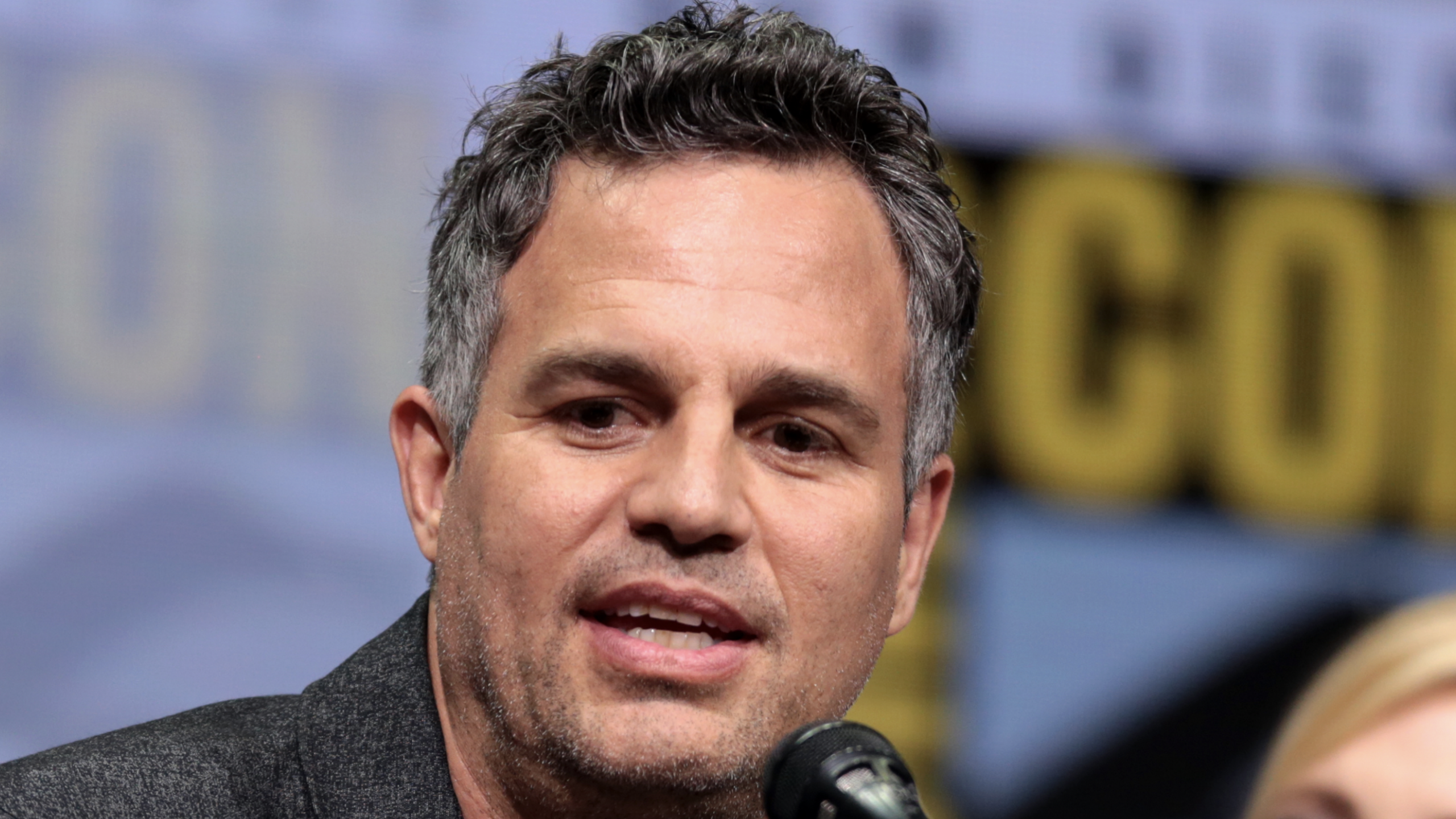 “Killing Millions of Dogs to Prepare for a Global Sporting Event Is Not Progress, It’s a Moral Failure,” Mark Ruffalo Condemns Morocco’s Preparation for the World Cup — “Humane Solutions Exist, and Choosing Compassion Over Violence Is a Responsibility We All Share”